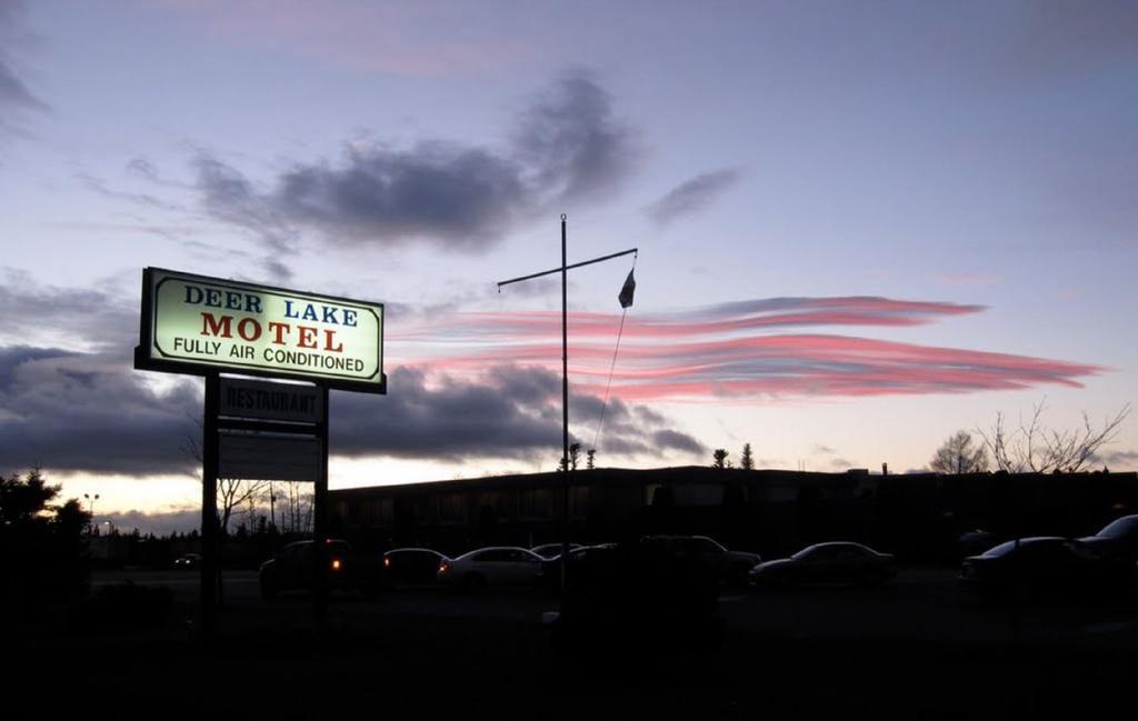 Deer Lake Motel Dış mekan fotoğraf